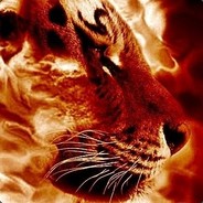 VincerPlayz