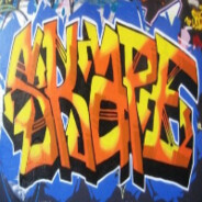 Skape008
