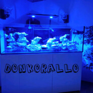 DonKorallo