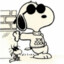 SnOoPY