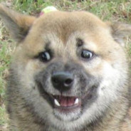 macieeq