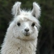 AmalOfLama's Avatar