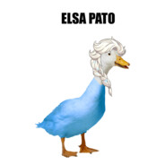 Elsapato