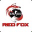 RED FOX #121