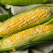 REALLY SHORT CORN's Avatar