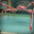 Group Avatar