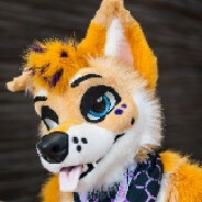 HuskyRyan