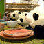 Panda At Dinner