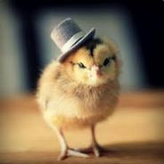 MiniNinja