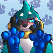 Mokata 🐾