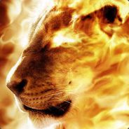 \WAR/ Lion's Avatar