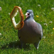 pigeons_are_sick's Avatar