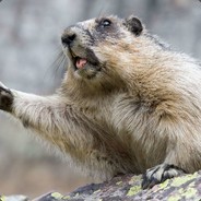 Lord Groundhog avatar