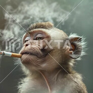ZonaPurplehaze's Avatar