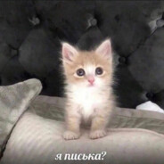 крип