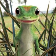 gecko` - steam id 76561197962132355