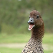 xOBAMACARE420x