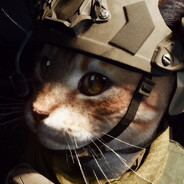TangoCat