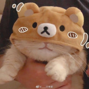 Neko Mamushi