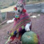 Perro Peruano