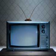 ~ chik ~ chirik ♿'s Avatar