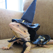 gandalf - steam id 76561197960456835
