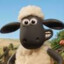 sheepSHAUN