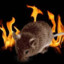 fire mouse