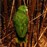 Strata the Milf Banger's Avatar