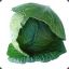 [DV] Cabbage