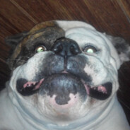 JovannyNoob's Avatar