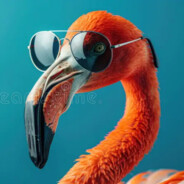 Flamingo