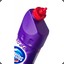 DomestoS