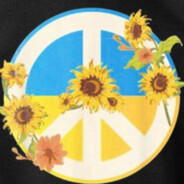 野生肥仔叔's Avatar