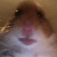 Chomik