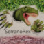 SerranoRex