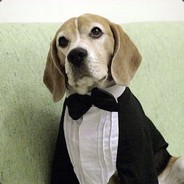 Fat Beagle In A Tux