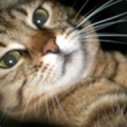 AngryKiller's Avatar