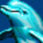 Free Dolphin Screensavers