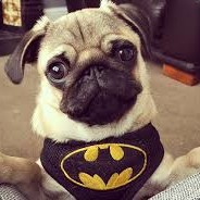 ItsTheBdoge