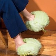Lettuce Shoes®