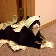 meow?