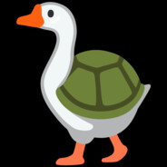 festiveturtle avatar