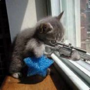 TheNinjaLlama - steam id 76561197960511114