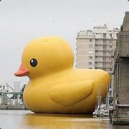 PIP - steam id 76561197961394315