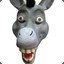 Donkey