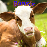 Bansis