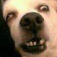 Luksferrary | FAMOSO NOÉ