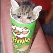 Steam Community :: cat ate my pringles bandit cat