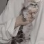 杰瑞爱汤姆
